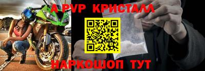 ALPHA PVP Гай